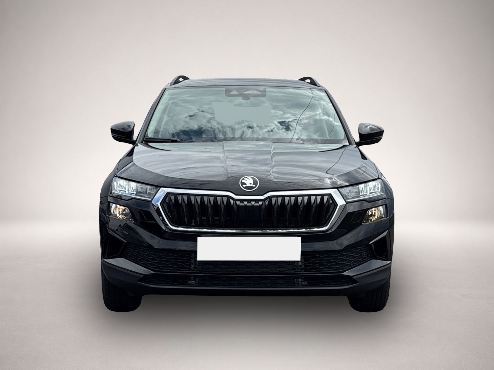 Bild 2 Skoda Karoq Selection TSI DSG|AHK|el.HECK|KAMERA|ACC