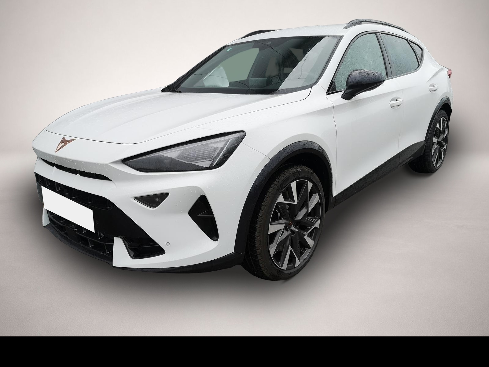 Fotografie des Cupra Formentor 2.0TSI DSG 4Drive ABT AHK GV5