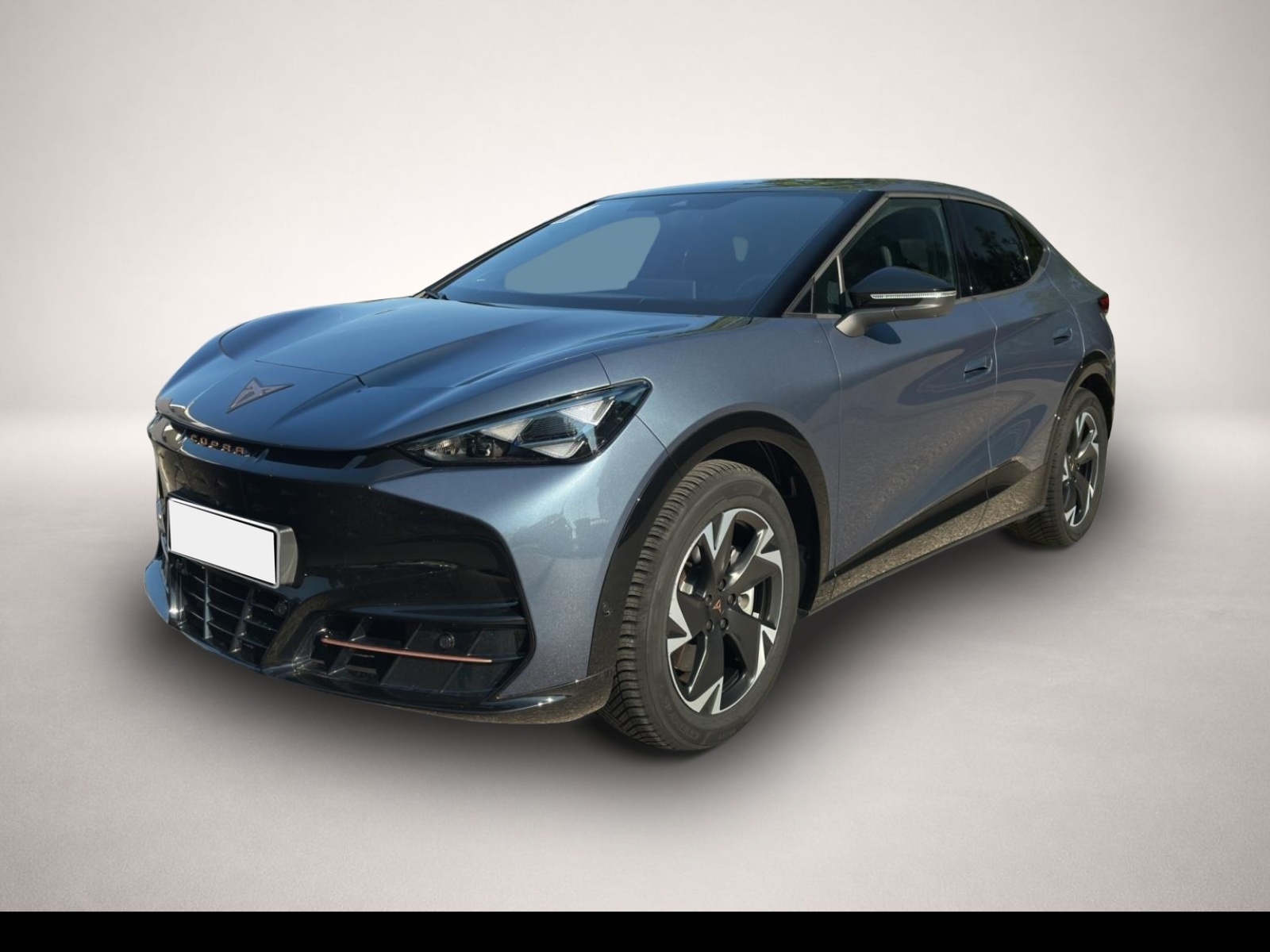 Bild Tavascan Cupra