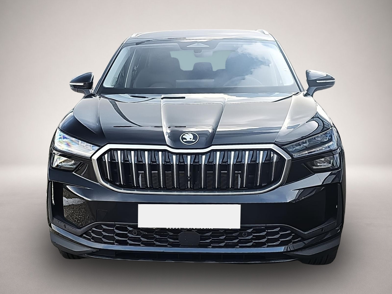 Fotografie des Skoda Kodiaq 2.0 TDI DSG Selection 7Si Matrix AHK 360°