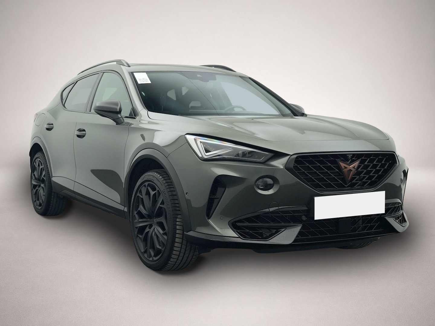 Bild 7 Cupra Formentor 2.0 TSI DSG 4Dr. Tribe Edition MATRIX