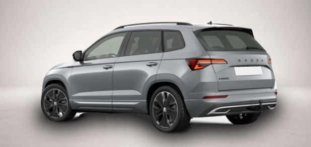 Bild 3 Skoda Karoq 2.0 TSI 7-Gang-DSG 4x4