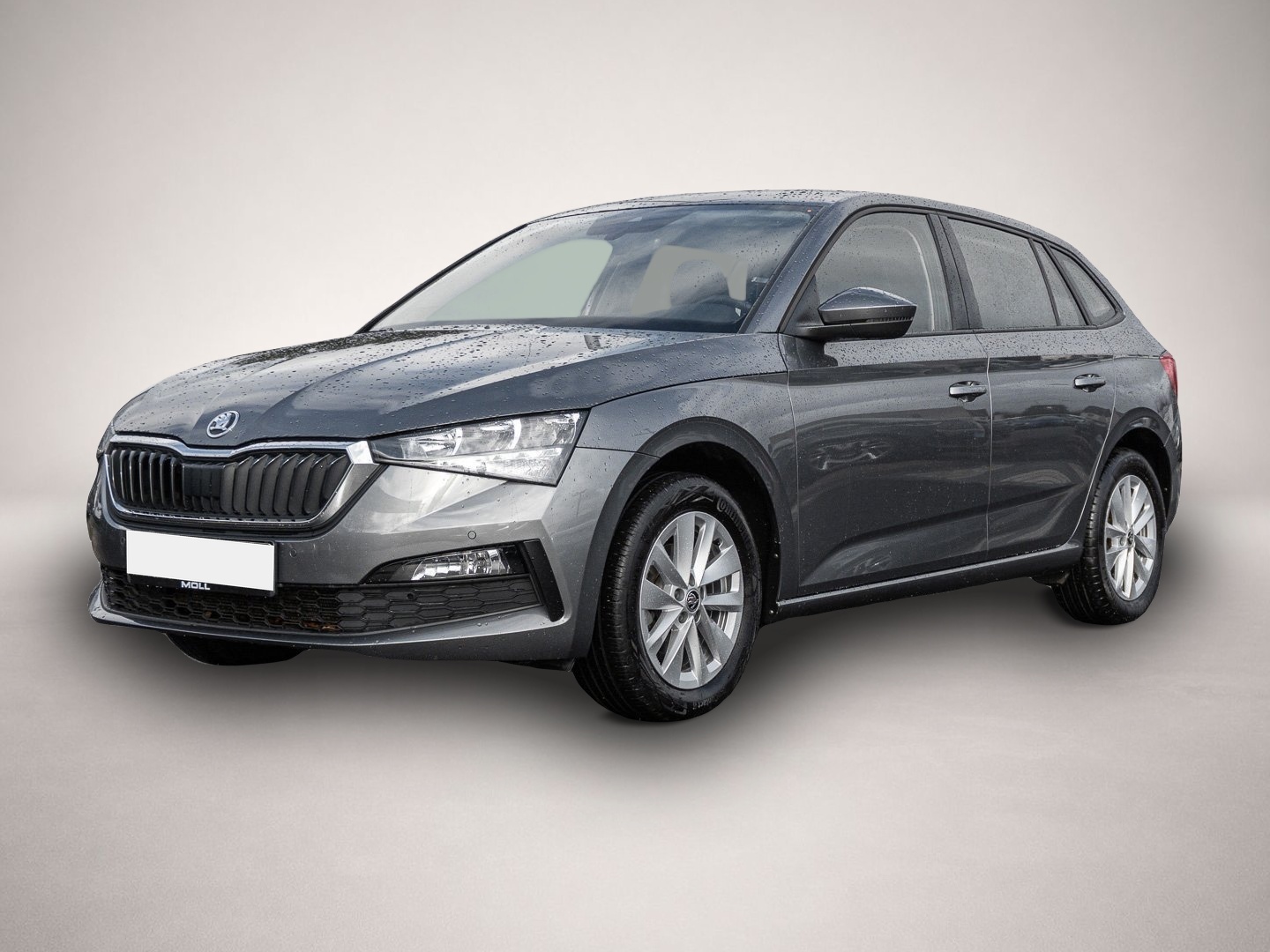 Bild Scala Skoda
