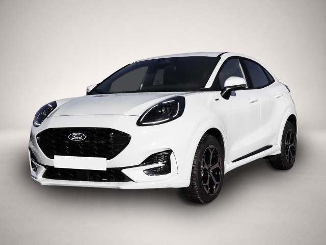 Bild Puma Ford