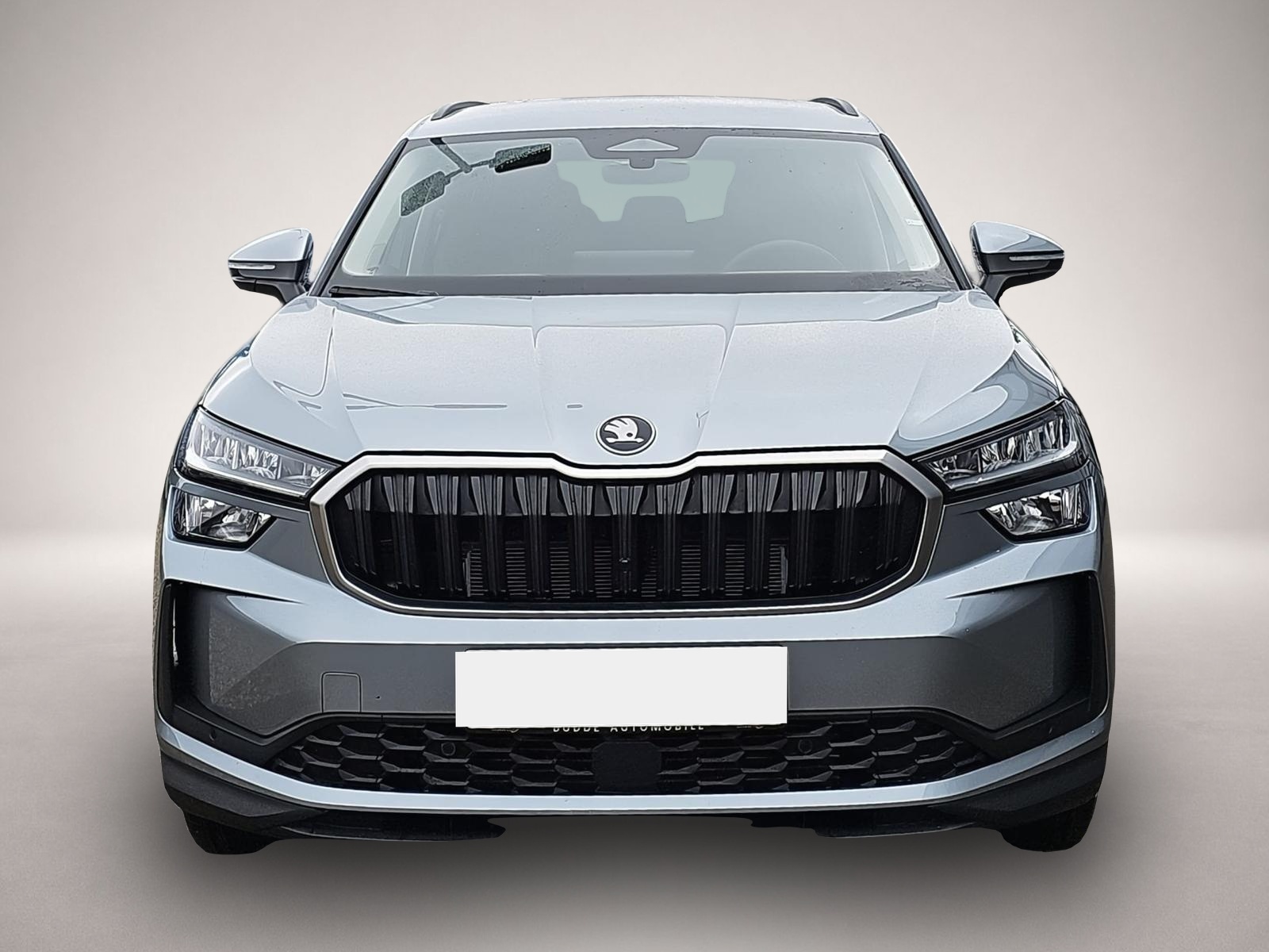 Bild 2 Skoda Kodiaq 1.5 TSI DSG Selection 7Si ACC Navi Memory