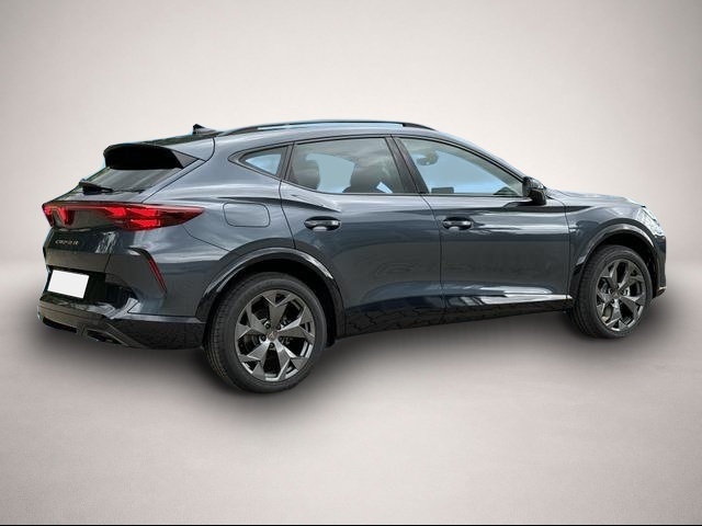 Bild 5 Cupra Formentor Tribe Edition KAMERA+eHK+KESSY+ACC+SHZ+19