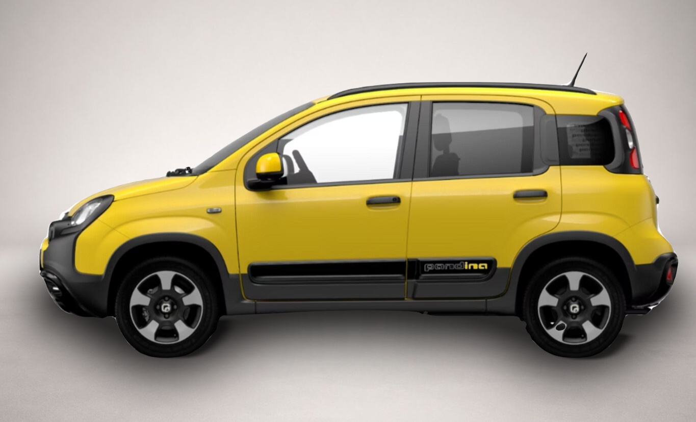 Bild 2 Fiat Panda Cross 5S PDC CarP/AndroidA PrivG 15Z NSW