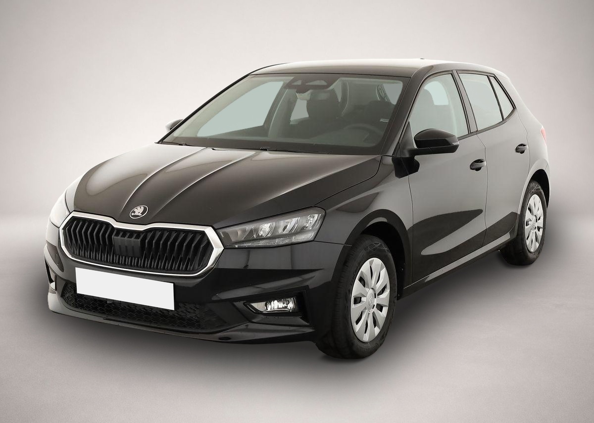 Bild 1 Skoda Fabia 1.0 TSI Selection, Park, Winterpaket, Smar
