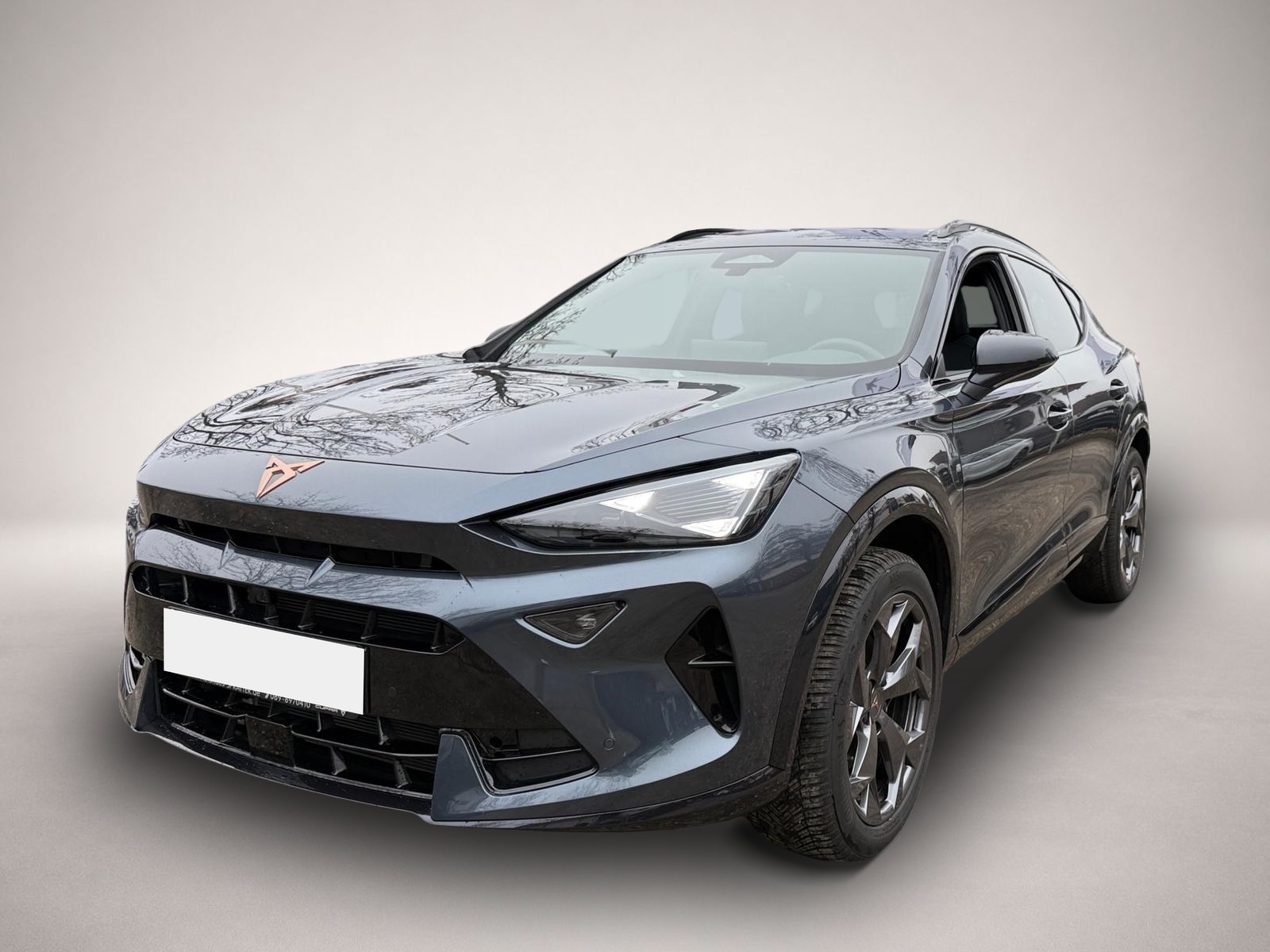 Fotografie 1 des Cupra Formentor 1.5 eTSI DSG ACC LED PDC SHZ