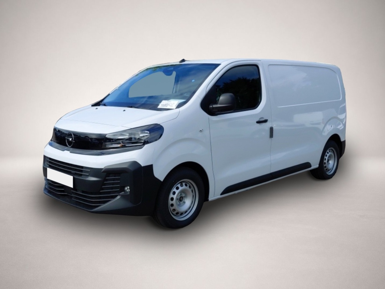 Bild 2 Opel Other Vivaro Cargo L2H1(M) + Holzboden + Seitenw. + 18