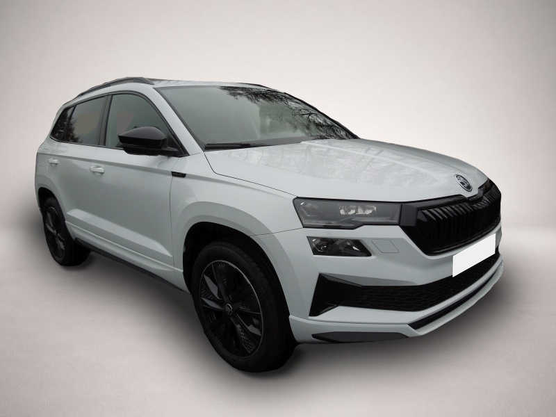 Bild Karoq Skoda