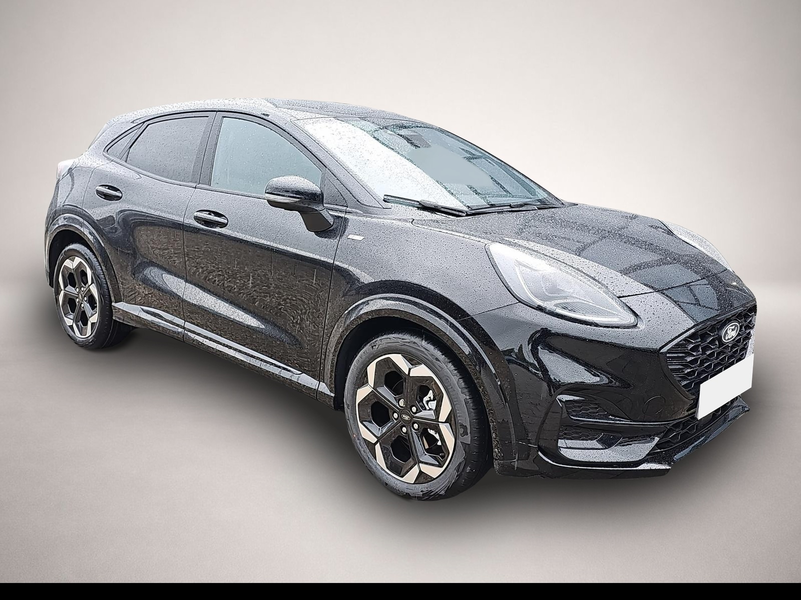 Bild Puma Ford