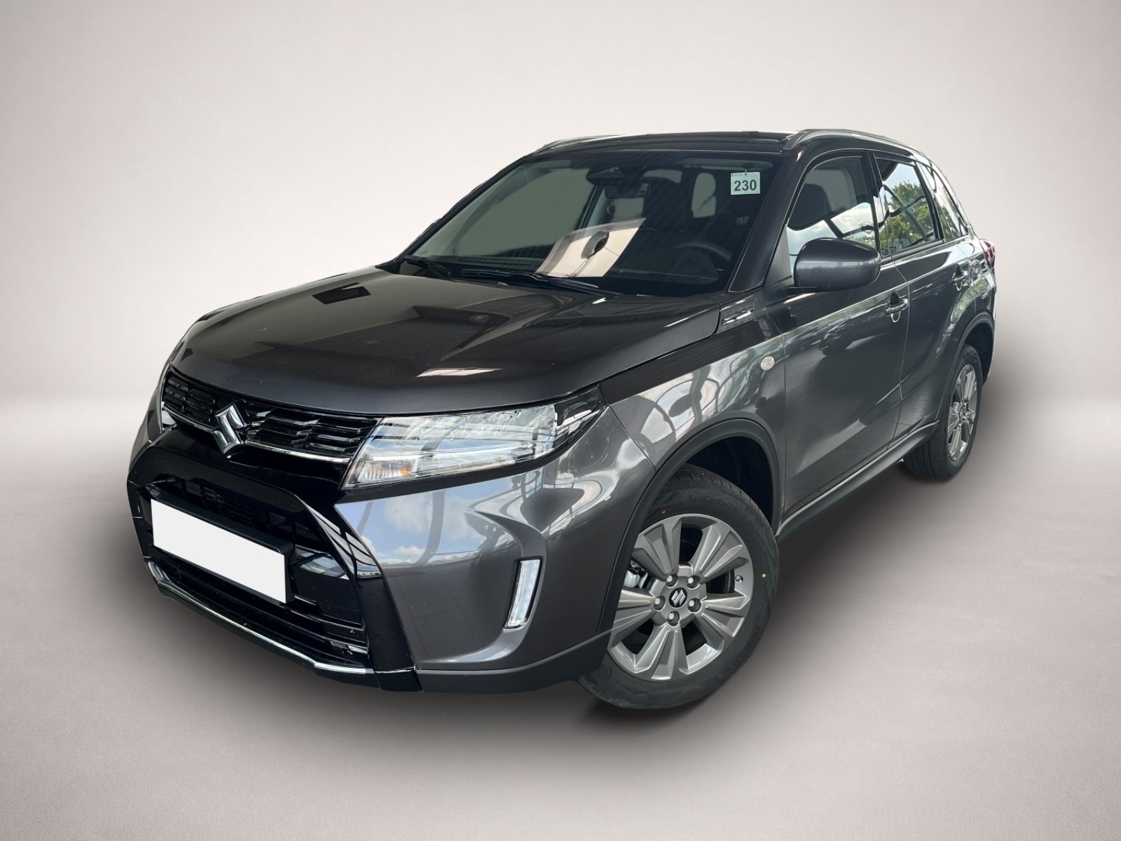 Bild Vitara Suzuki