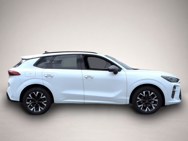 Bild 2 Cupra Terramar 1.5eTSI*ACC Navi 360°Kam Alcantara SHZ