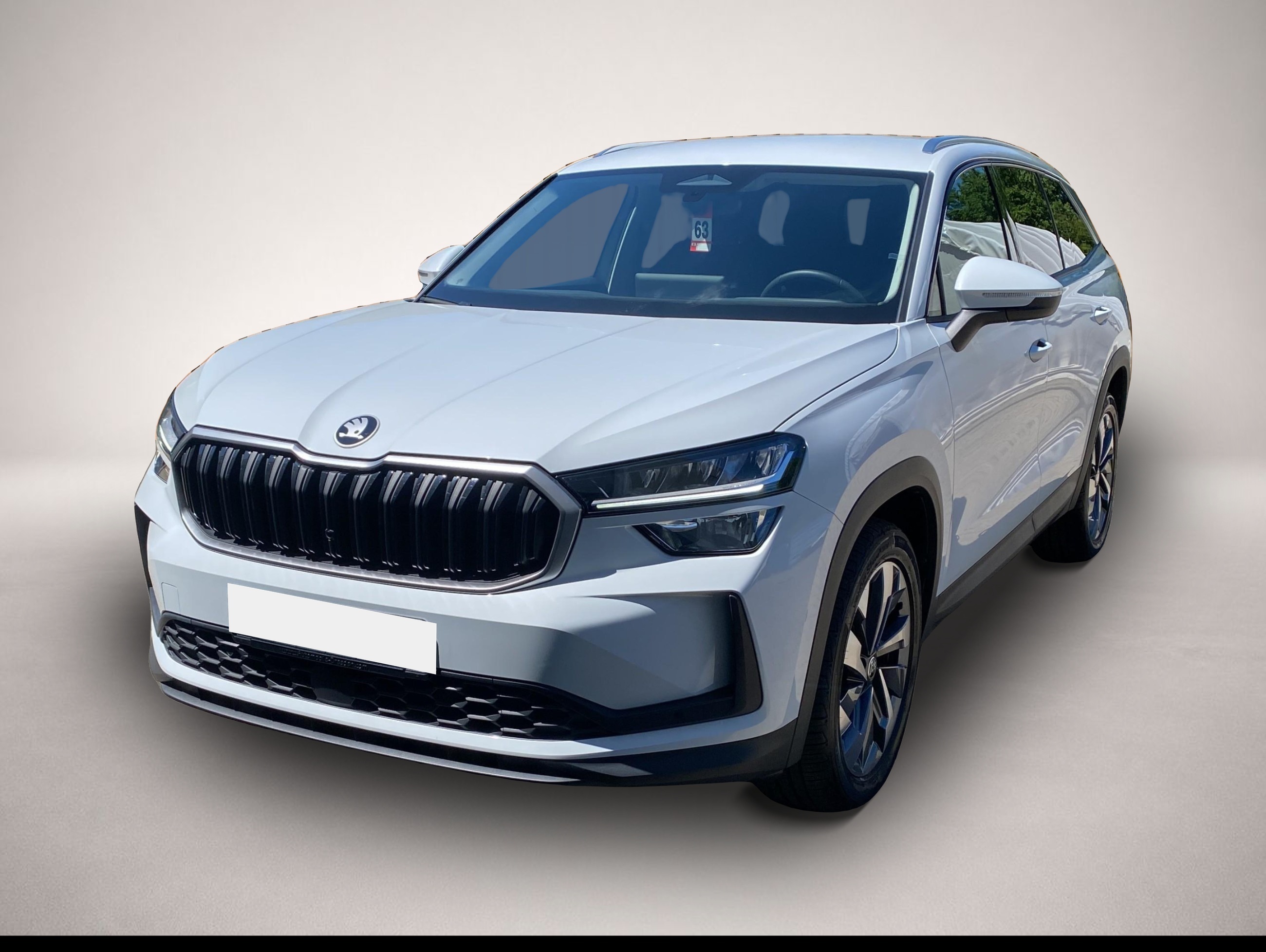 Bild Kodiaq Skoda