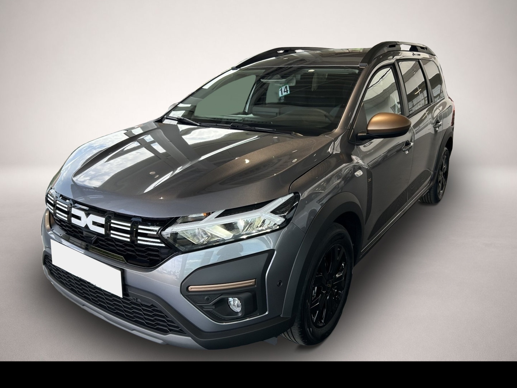 Bild Jogger Dacia