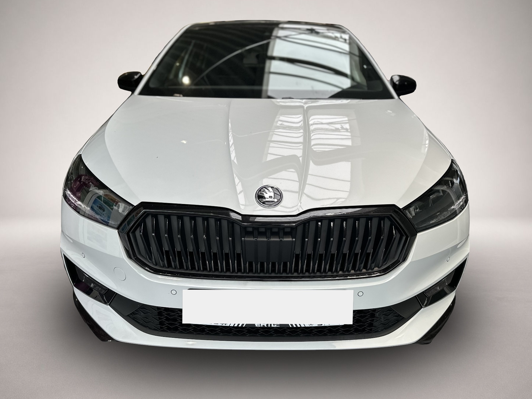 Bild 2 Skoda Fabia Monte Carlo 1.0 TSI