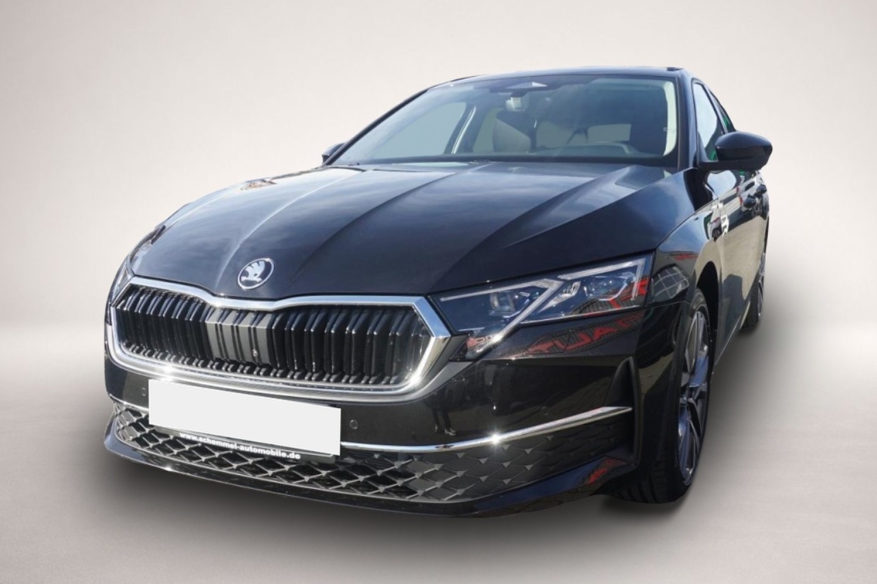 Bild 4 Skoda Octavia 2.0 TDI DPF Pano/Standheizung/18Zoll