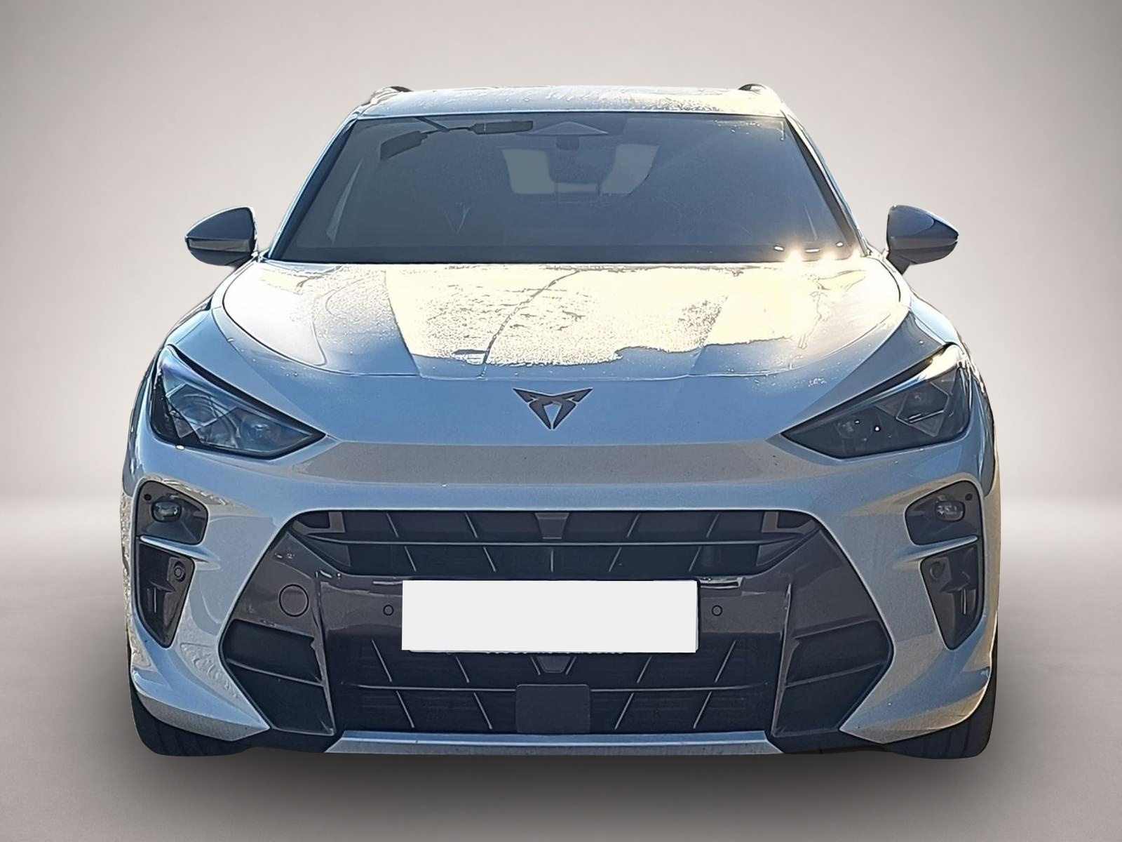 Fotografie 2 des Cupra Terramar 1.5 eTSI DSG / Matrix / DCC / 20Zoll