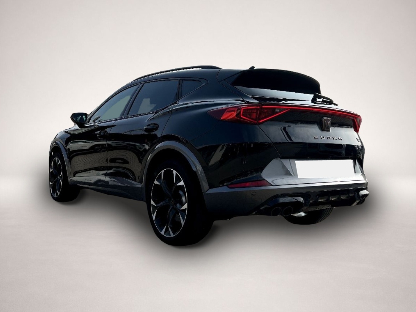 Bild 2 Cupra Formentor VZ 2.0 TSI 4Drive *LED Navi Leder ACC*