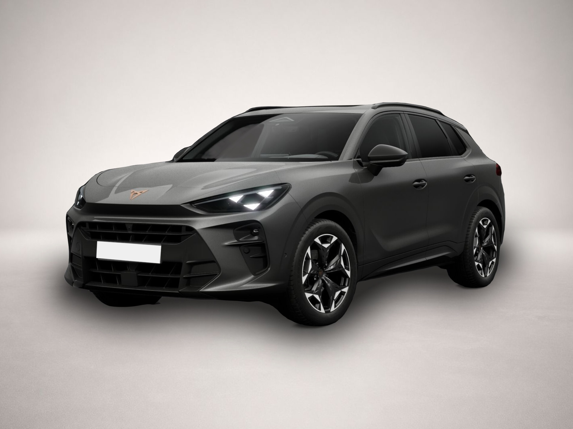 Bild Terramar Cupra