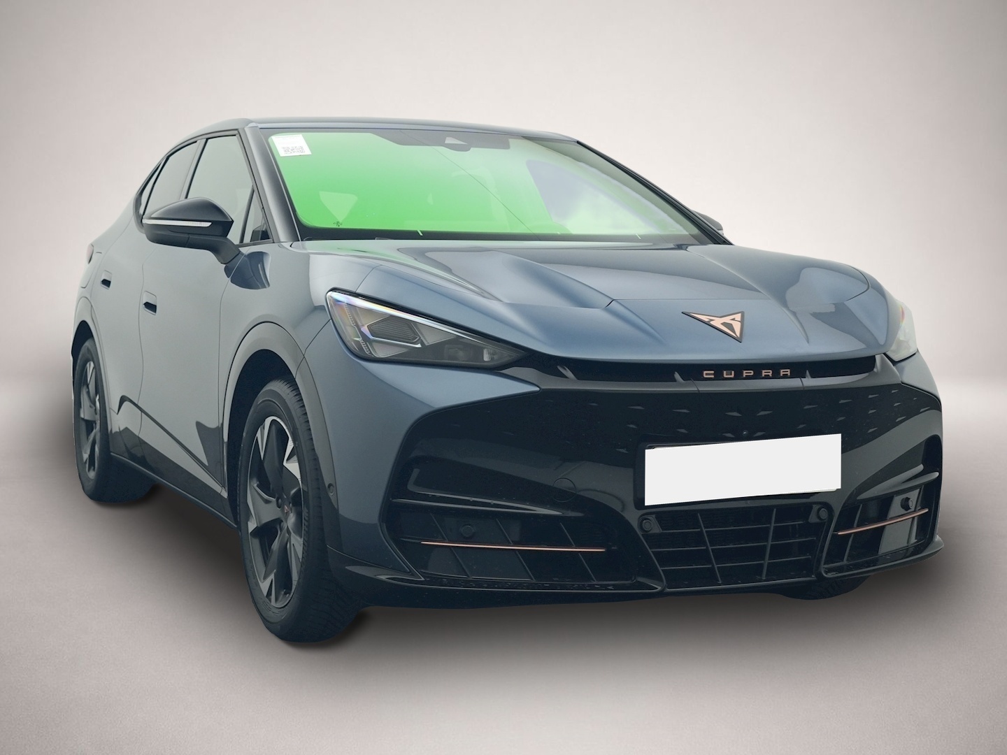 Bild 7 Cupra Tavascan Endurance 360 WÄPU eHECK IMMERSIVE