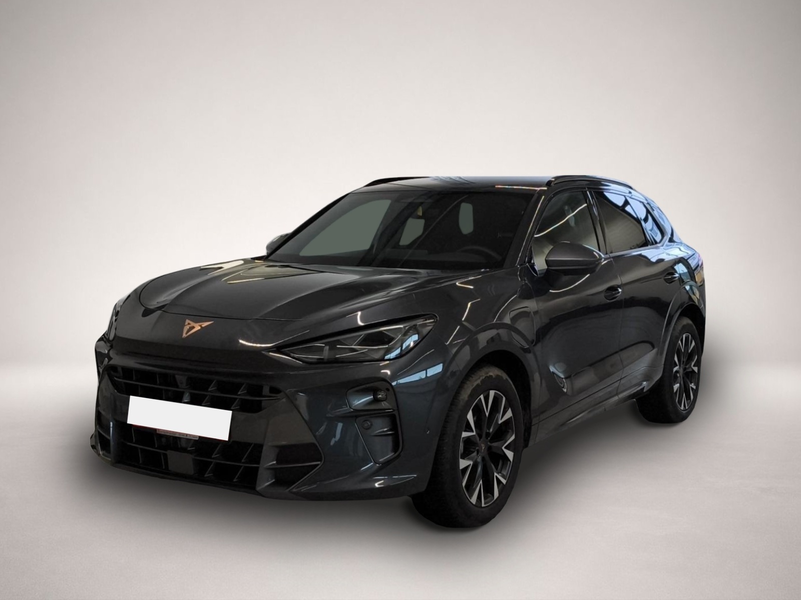 Bild Terramar Cupra