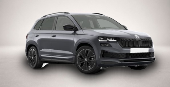 Fotografie des Skoda Karoq 2.0 TSI 7-Gang-DSG 4x4