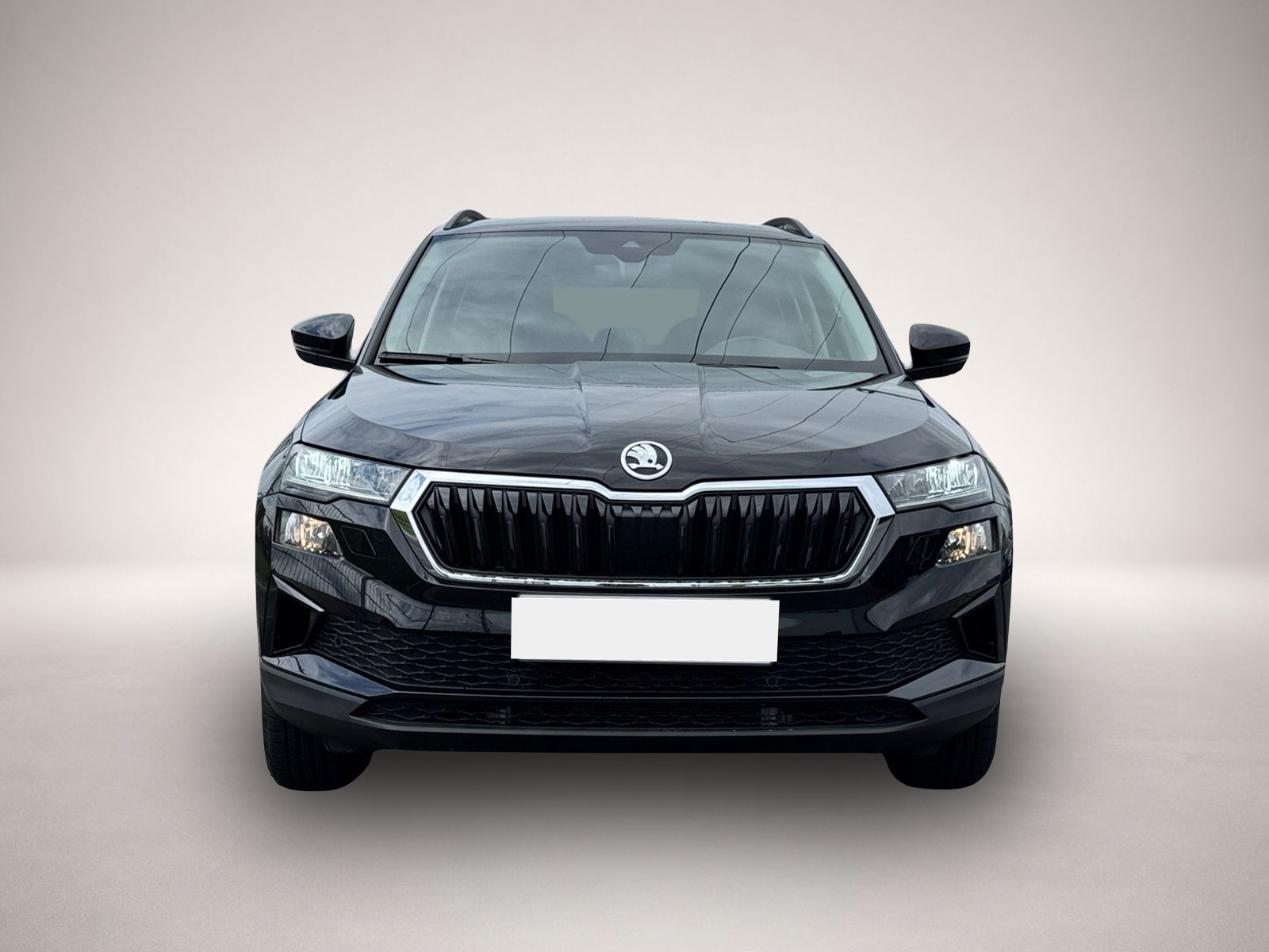 Bild 2 Skoda Karoq Selection 4x4 TDI DSG|ACC|NAVI|KAMERA|