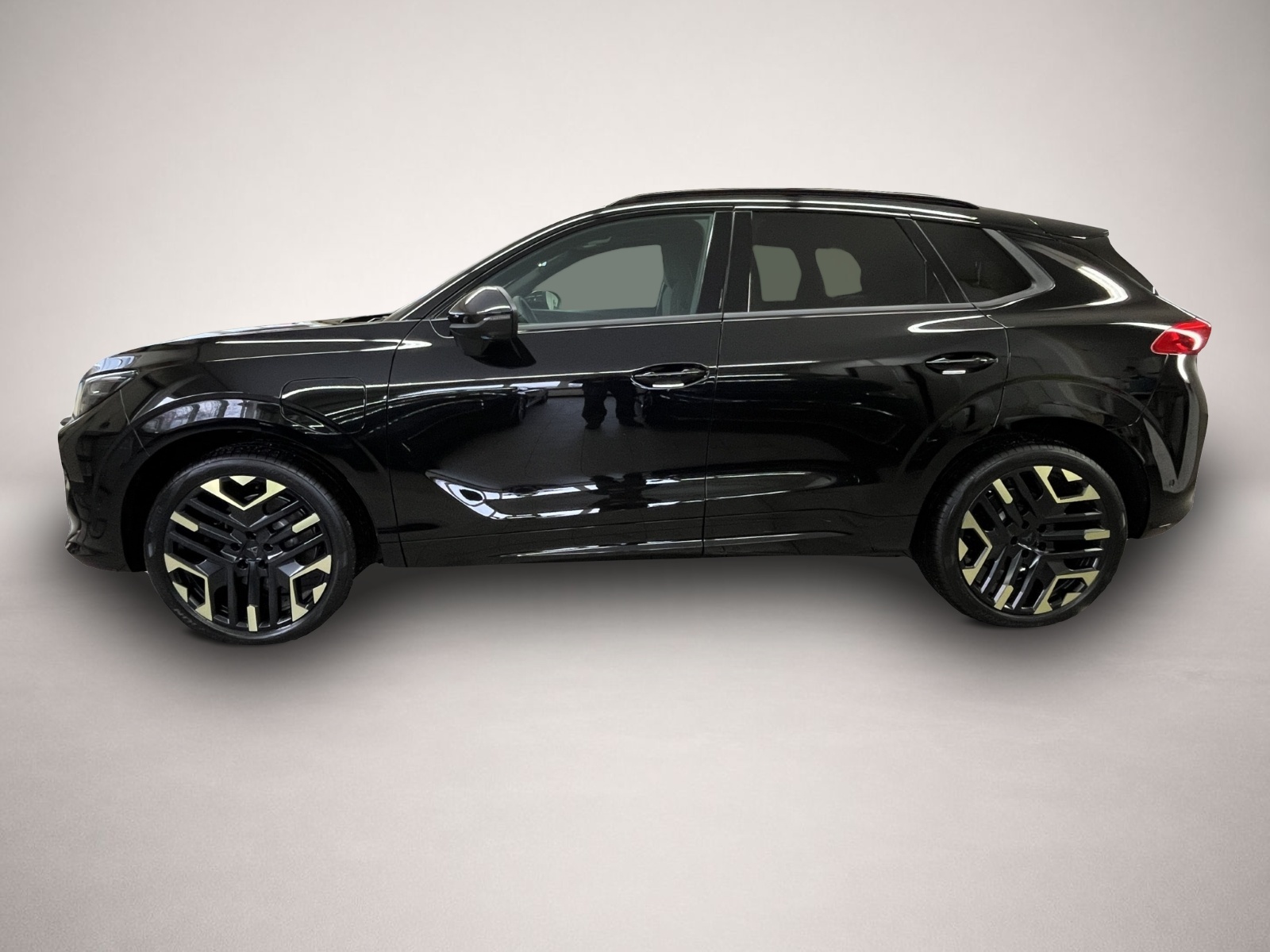 Bild 3 Cupra Terramar 1.5 e-HYBRID VZ Tribe Edition AHK MATRI
