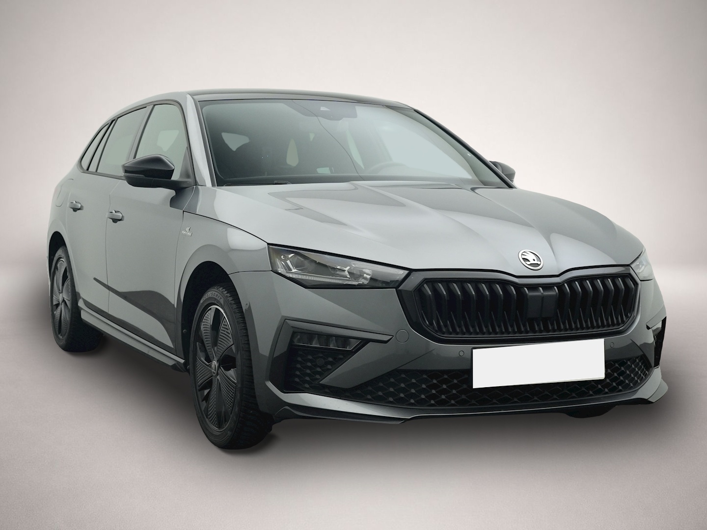 Bild 7 Skoda Scala 1.5 TSI DSG Monte Carlo
