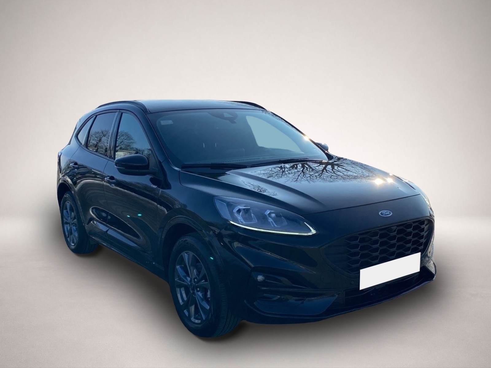 Bild 6 Ford Kuga 2.5 Duratec PHEV 4xSHZ*AHK*Park-Ass*HUD*RFK