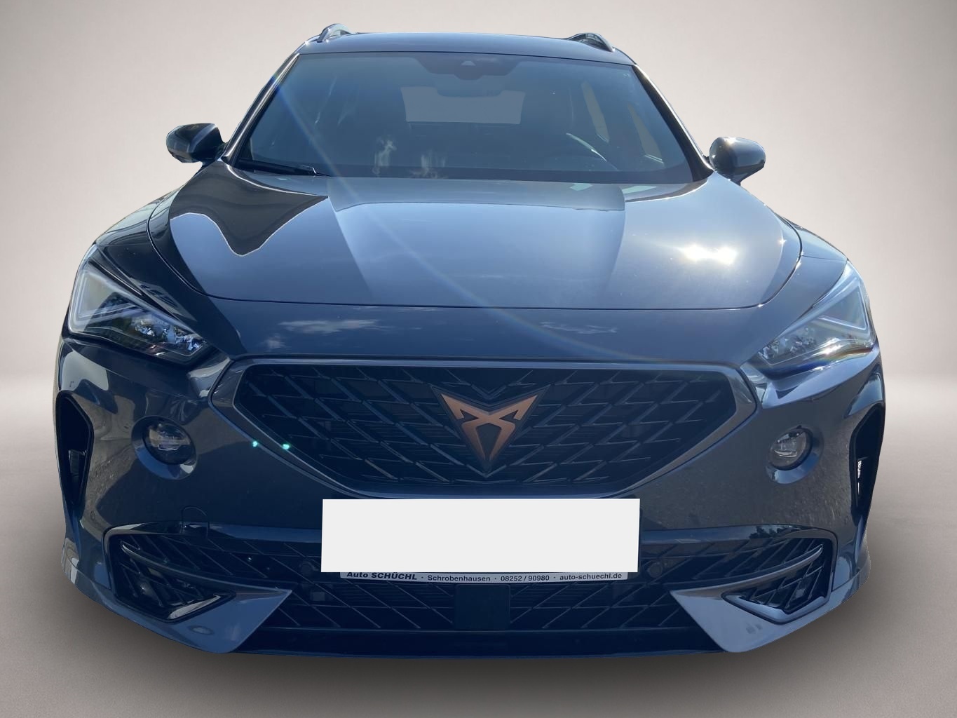 Bild 7 Cupra Formentor 1.4 TSI DSG eHybrid DSG VIRTUAL-COCKPI