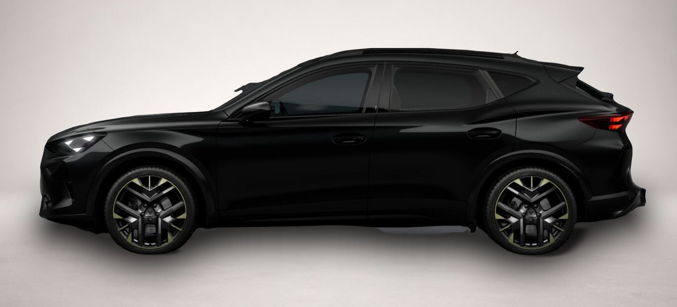 Bild 2 Cupra Formentor eTSI Tribe AHK 19