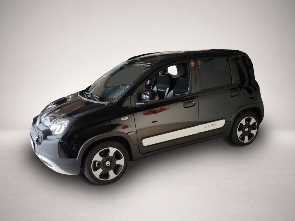 Fiat Other