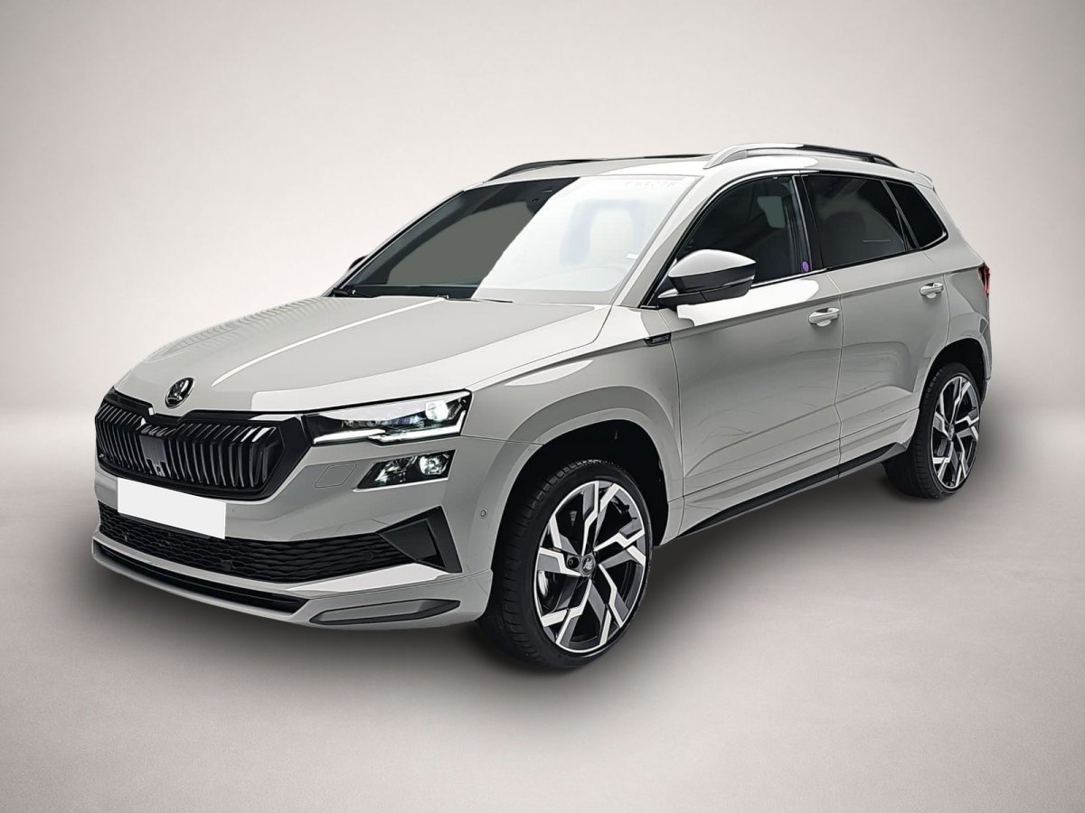 Bild Karoq Skoda