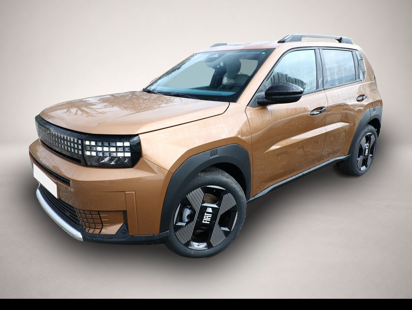 Bild Grande Panda Fiat