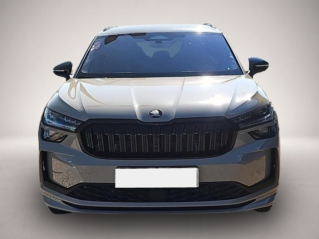 Bild Kodiaq Skoda