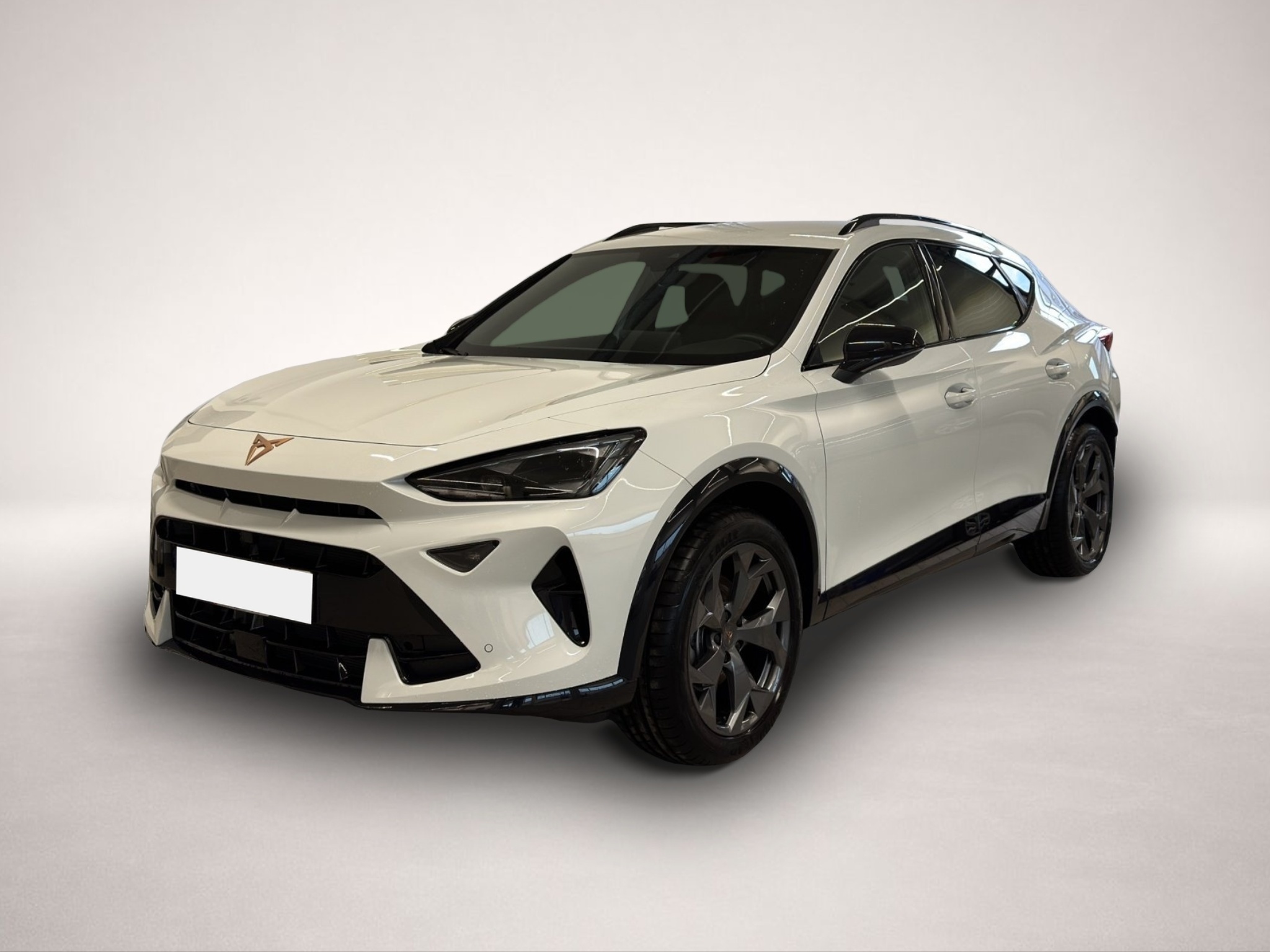 Fotografie Cupra Formentor 1.5 TSI MATRIX-LED FULL-LINK 18 KAMERA