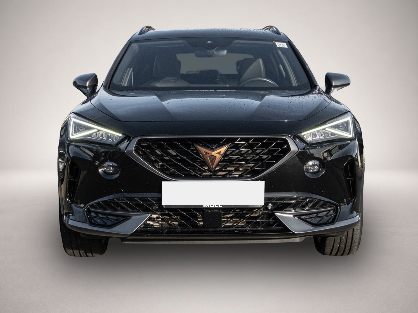 Fotografie 2 des Cupra Formentor 1.5 TSI