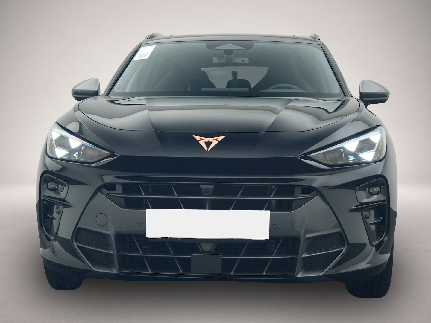 Bild 8 Cupra Terramar 2.0 TSI DSG 4Dr. VZ 5.-J.-GAR PANO AHK