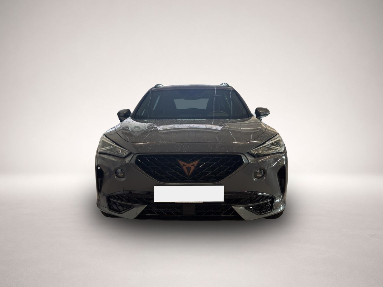 Bild 2 Cupra Formentor 1.5 TSI DSG LED NAVI ACC