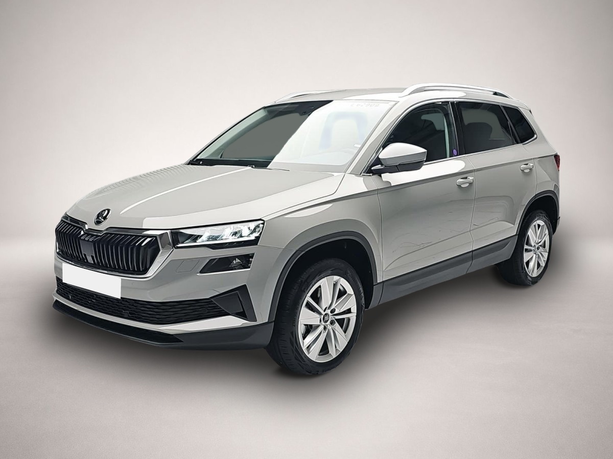 Bild Karoq Skoda