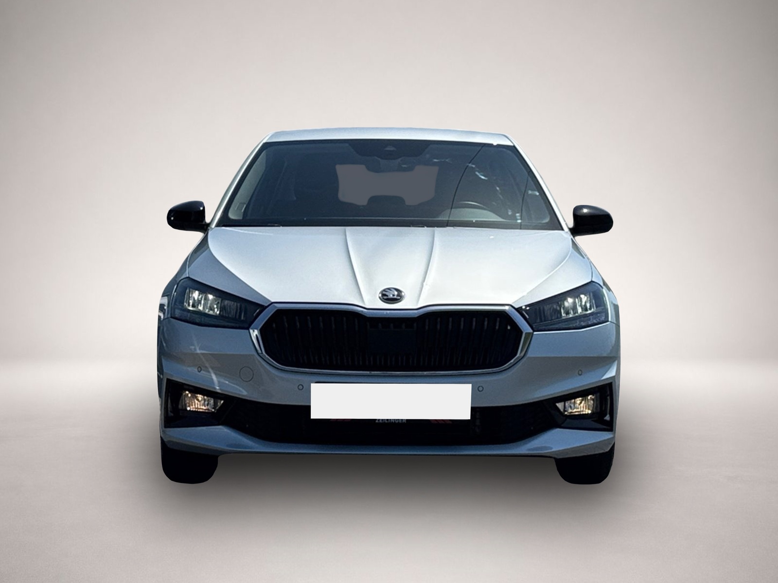Bild 2 Skoda Fabia Selection 1.0|KAMERA|15