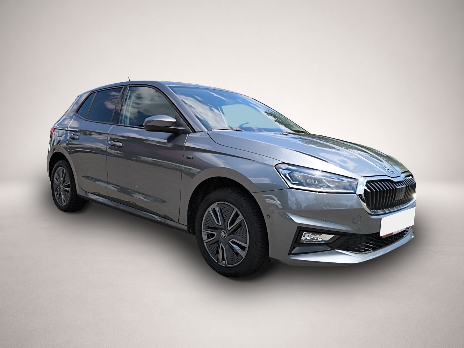 Fotografie 3 des Skoda Fabia 1.0 TSI DSG Tour NAVI RFK ACC PDC SMART LI