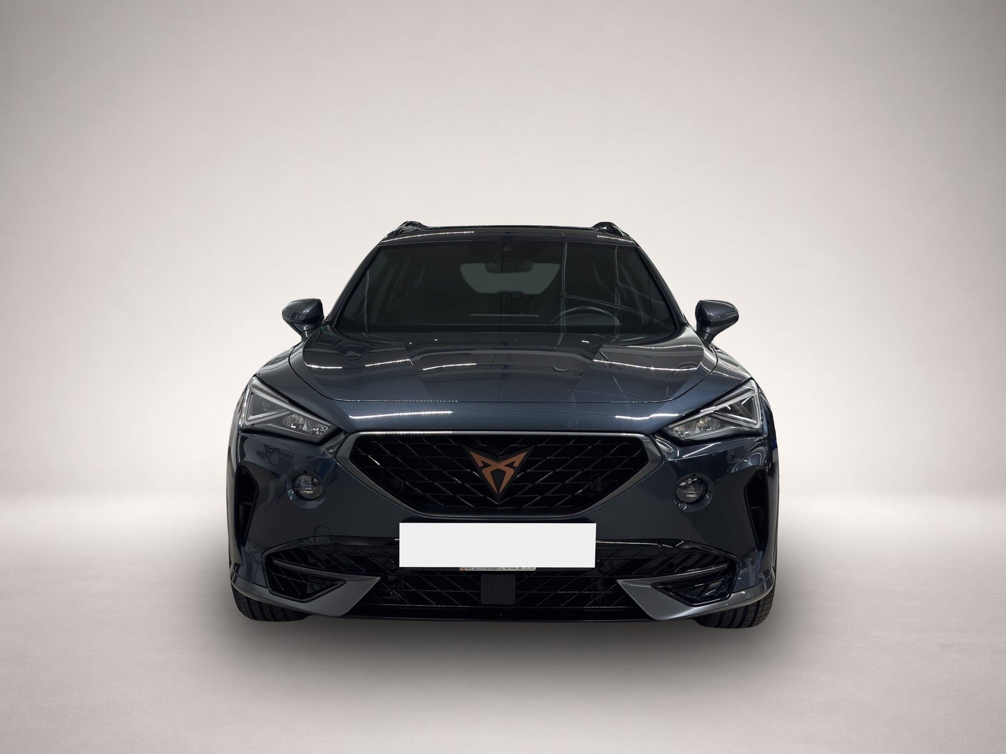 Bild 2 Cupra Formentor 2.0 TSI DSG 4Drive VZ LED NAVI PANO 19