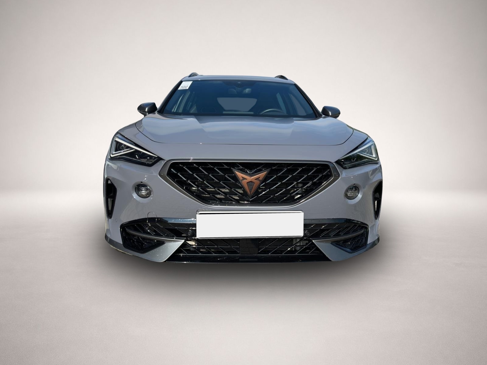 Bild 2 Cupra Formentor 2.0 TSI DSG 4Dr AB281EUR VZ PANO BEATS
