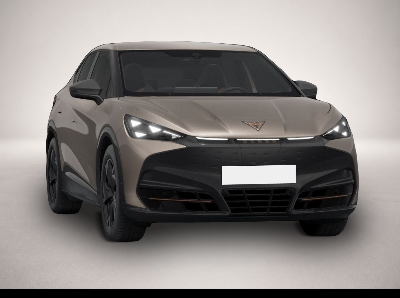 Bild 2 Cupra Tavascan 77 kWh Endurance Nav SHZ ParkA Kessy