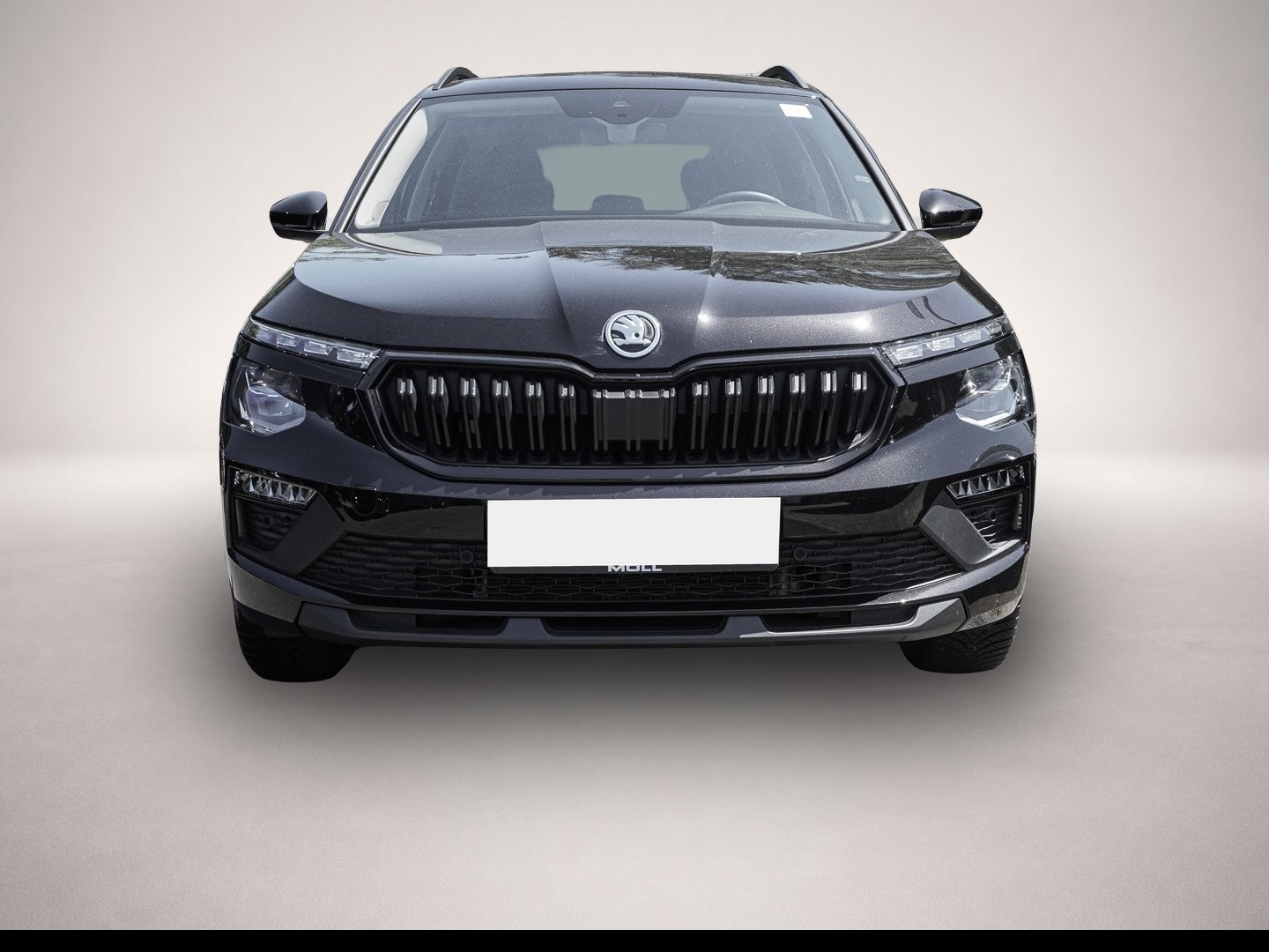 Fotografie 2 des Skoda Kamiq 1.0 TSI DSG SelectionTour PDC MATRIX AHK