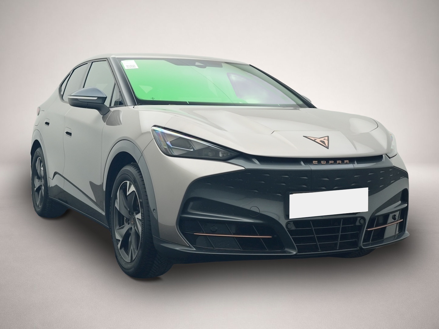 Bild 1 Cupra Tavascan Endurance RFK WÄPU eHECK NAVI